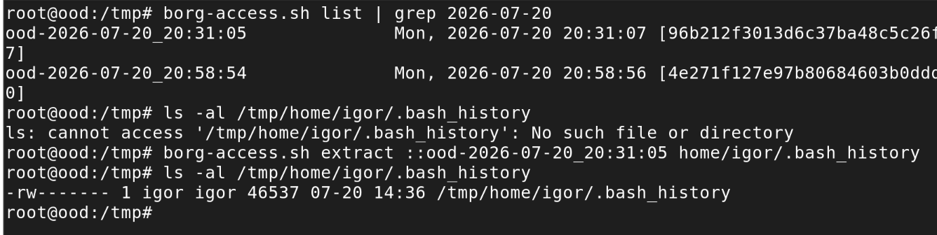 Restoring one file with Borg
