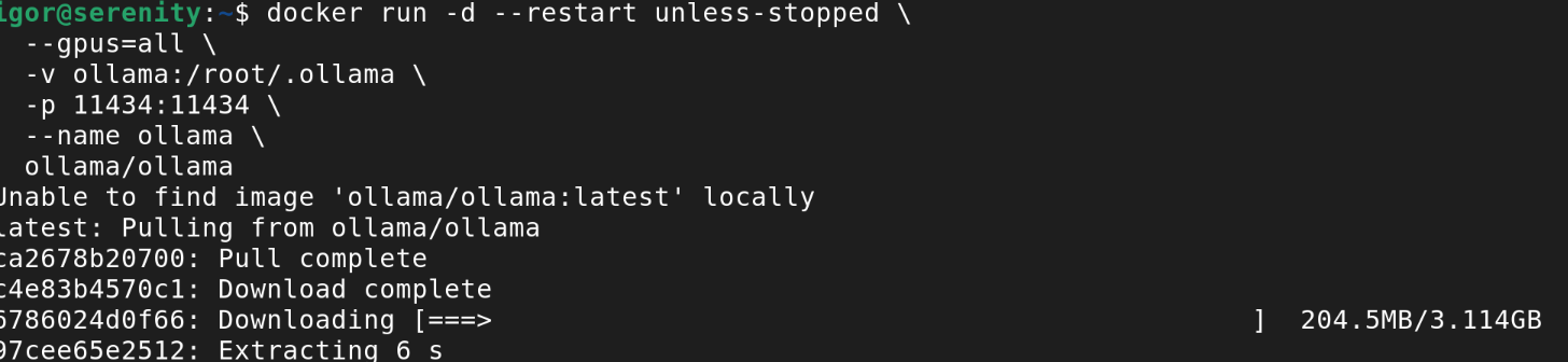 Docker output when running Ollama for the first time
