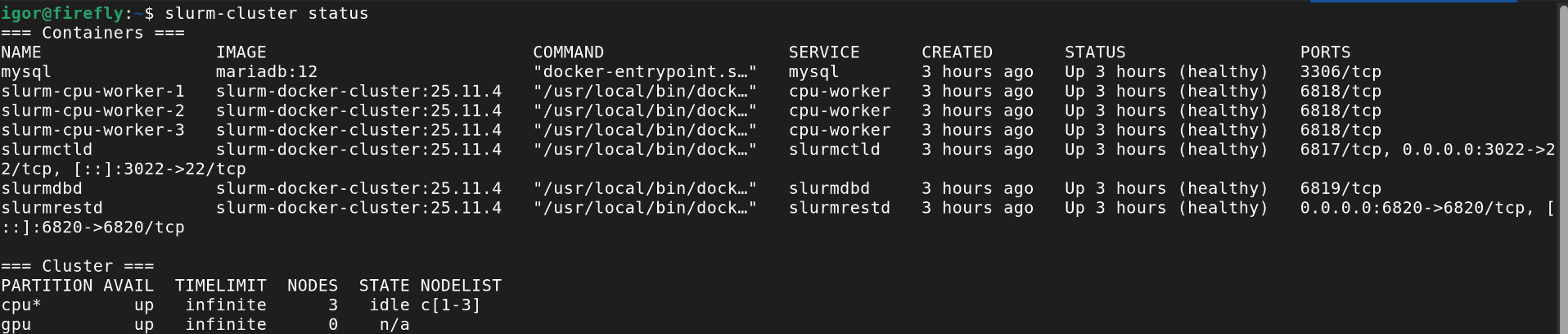 slurm-cluster status run from outside the container
